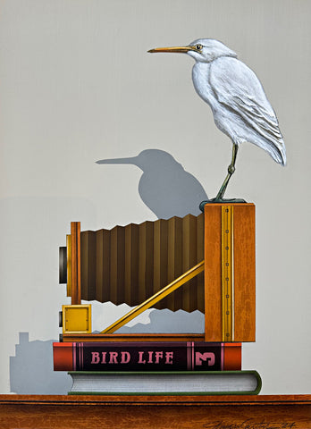 Photorealistic acrylic painting of a Small white heron sitting atop an old camera and two books, one titled "Bird Life 3", against a white background by James Carter - Cottage Curator - Sperryville VA Art Gallery