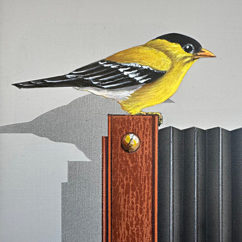 Detail of Photorealistic acrylic painting of a Goldfinch sitting atop an old camera and two books, one titled "Photography 9", against a white background by James Carter - Cottage Curator - Sperryville VA Art Gallery