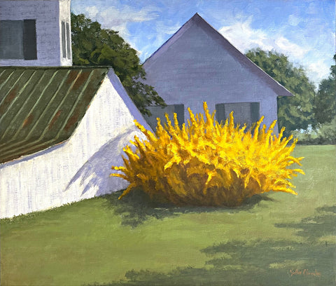 Painting of a large yellow forsythis bush beside a farmhouse by Kathy Chumley - Cottage Curator - Sperryville VA Art Gallery