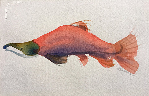 Watercolor painting of pink salmon by Janet Brome at Cottage Curator art gallery Sperryville VA