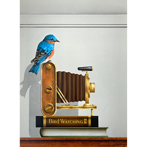 Bird Watching II (Eastern Bluebird)