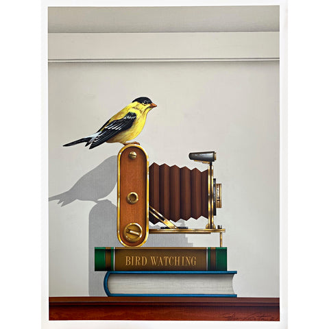 Bird Watching (Goldfinch)