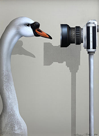 "Close Up" - a painting of a mute swan looking into a camera on a tripod by James Carter at Cottage Curator Sperryville VA Art Gallery
