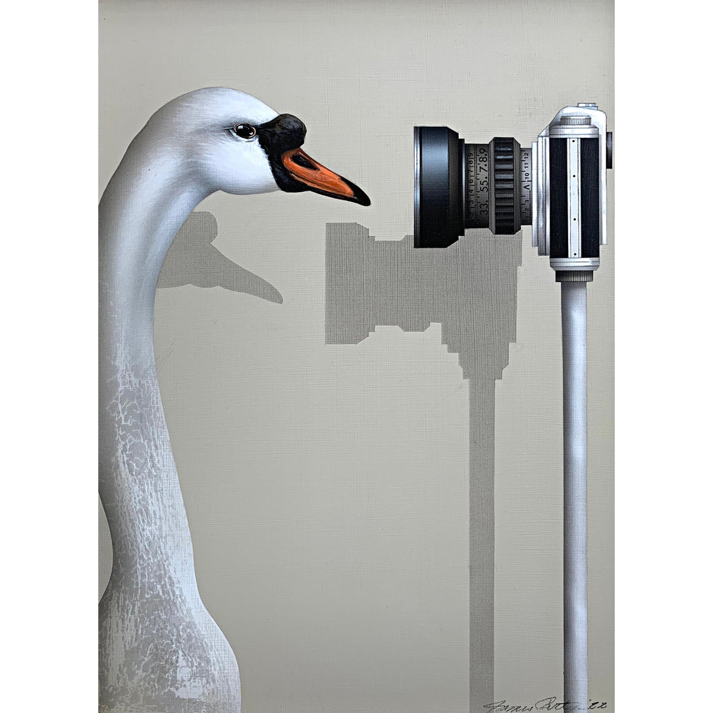 "Close Up" - a painting of a mute swan looking into a camera on a tripod by James Carter at Cottage Curator Sperryville VA Art Gallery