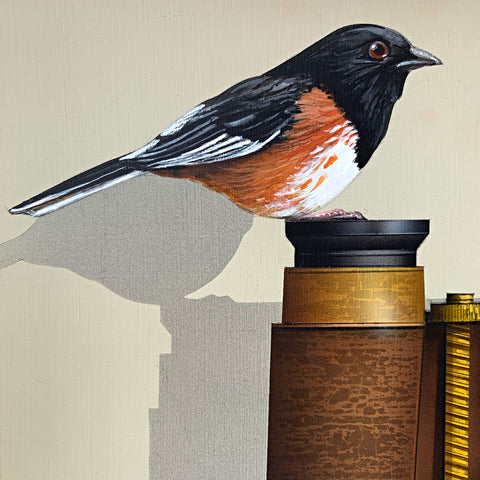 Detail of painting of Eastern Towhee perched atop an old fashioned pair of binoculars on a wooden tabletop by James Carter at Cottage Curator - Sperryville VA Art Gallery