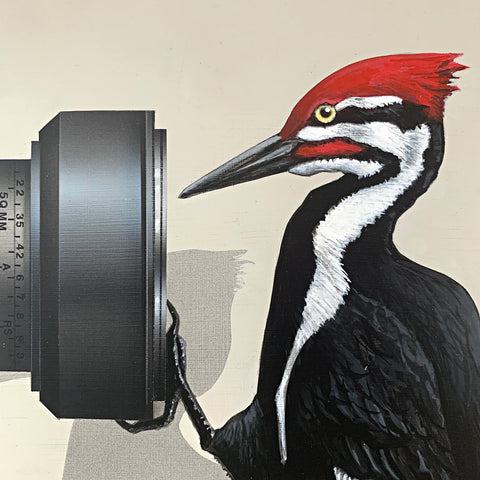 Detail of trompe l'oeil painting of a camera with a pileated woodpecker hanging from it looking into the camera by James Carter at Cottage Curator - Sperryville VA Art Gallery