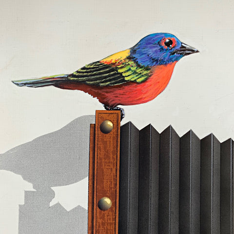 Detail of realistic painting of a Painted Bunting sitting atop an old-fashioned accordion camera by James Carter at Cottage Curator - Sperryville VA Art Gallery