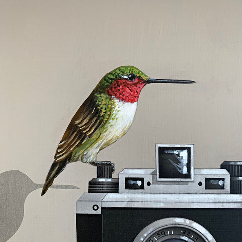 Detail of Painting of a ruby-throated hummingbird perched atop a vintage camera on two books, one titled Snapshot, on a tabletop by James Carter at Cottage Curator - Sperryville VA Art Gallery