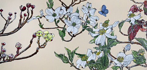 Horizontal acrylic painting of dogwood branches in various blooming stages of red, yellow and white with azure butterflies against an ivory background by Frances Coates at Cottage Curator - Sperryville VA Art Gallery