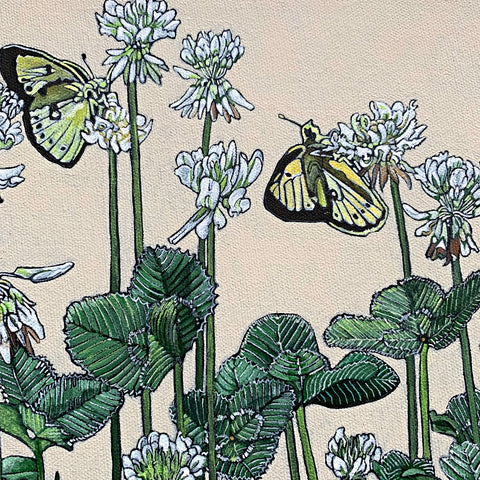 Detail of Painting of clouded supher butterflies on clover blossoms against a white background by Frances Coates - Cottage Curator - Sperryville VA Art Gallery