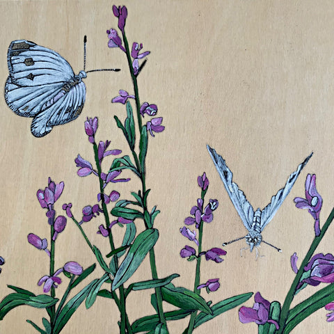 Detail of cabbage white butterflies in painting on wood panel of Gaywings and Racemed Milkwort with Cabbage Whites by Frances Coates at Cottage Curator - Sperryville VA Art Gallery