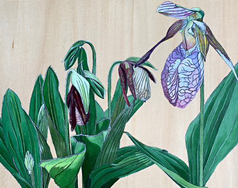 Painting of Pink Lady's-Slipper Stages in green and pink on wood panel by Frances Coates - Cottage Curator - Sperryville VA Art Gallery