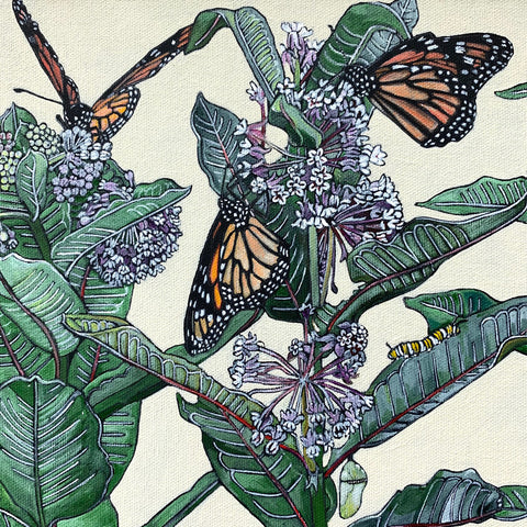 Detail of painting of milkweed with monarch butterflies in various stages - cocoons, caterpillars, emerging butterflies - against a white background by Frances Coates at Cottage Curator - Sperryville VA Art Gallery