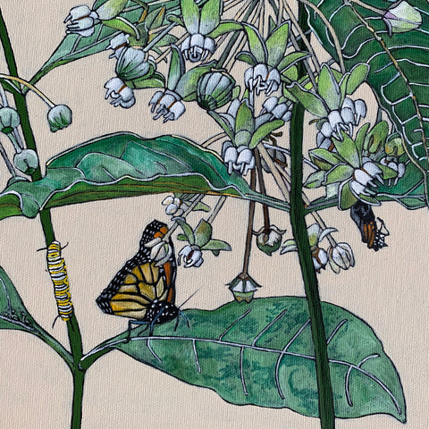 Detail of painting of poke milkweed in various stages of blooming with monarch butterflies and caterpillars against an ivory background by Frances Coates at Cottage Curator - Sperryville VA Art Gallery