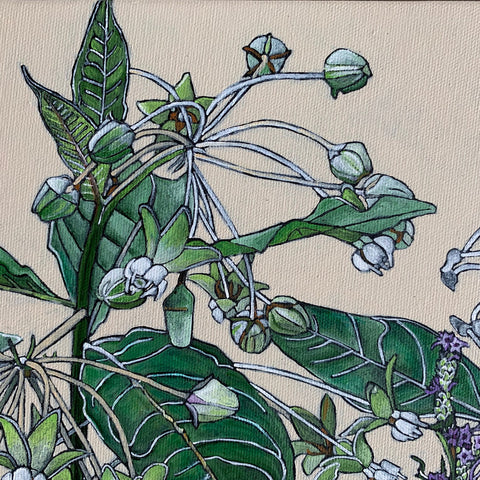 Detail of painting of poke milkweed in various stages of blooming against an ivory background by Frances Coates at Cottage Curator - Sperryville VA Art Gallery