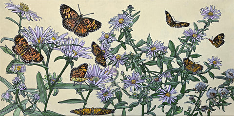 Painting of purple asters with orange and black northern crescent butterflies against a cream background by Frances Coates at Cottage Curator - Sperryville VA Art Gallery