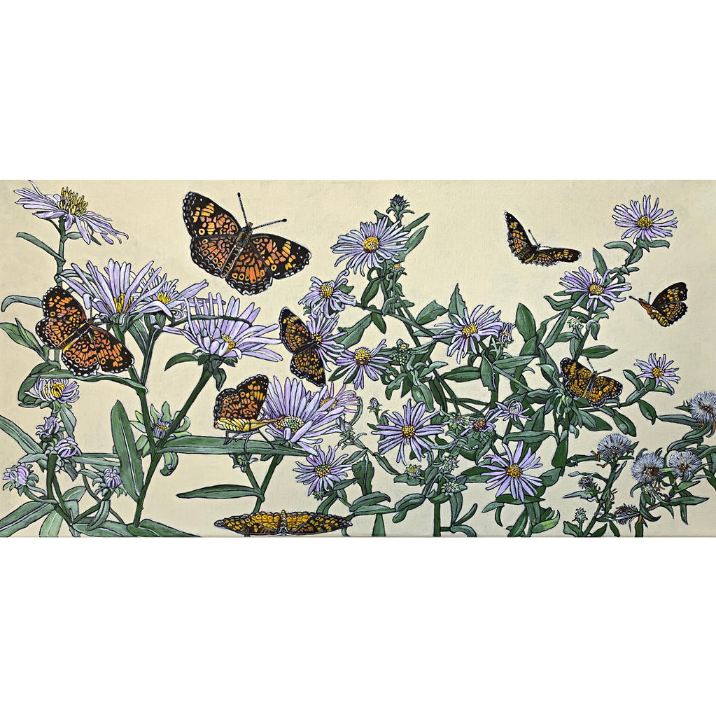 Painting of purple asters with orange and black northern crescent butterflies against a cream background by Frances Coates at Cottage Curator - Sperryville VA Art Gallery