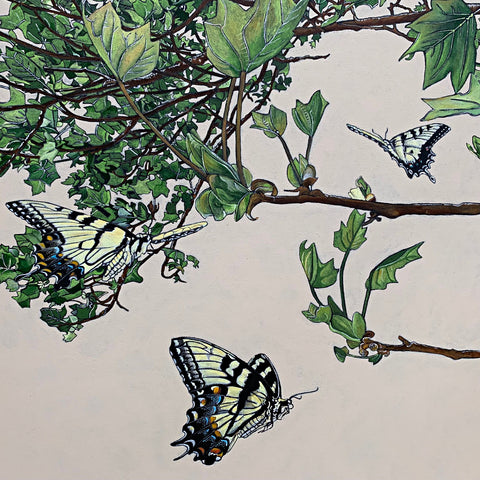 Detail of Acrylic painting of swallowtails flying and eating at tulip poplars against a white background by Frances Coates at Cottage Curator - Sperryville VA Art Gallery