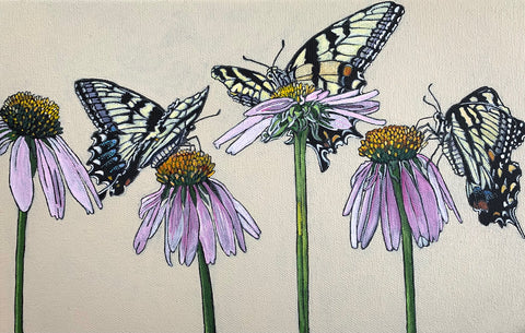 Three tiger swallowtail butterflies perch on purple coneflowers against a white background in this painting on canvas by Frances Coates at Cottage Curator - Sperryville VA Art Gallery
