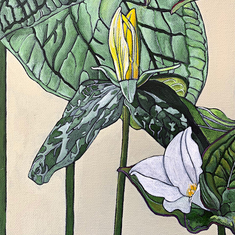 Detail of painting with white trillium plants and luscious green leaves against a cream background by Frances Coates at Cottage Curator - Sperryville VA Art Gallery
