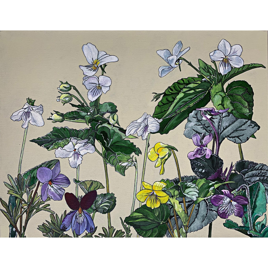 Painting of families of violet flowers in white, purple, pink and yellow against an ivory background by Frances Coates at Cottage Curator - Sperryville VA Art Gallery