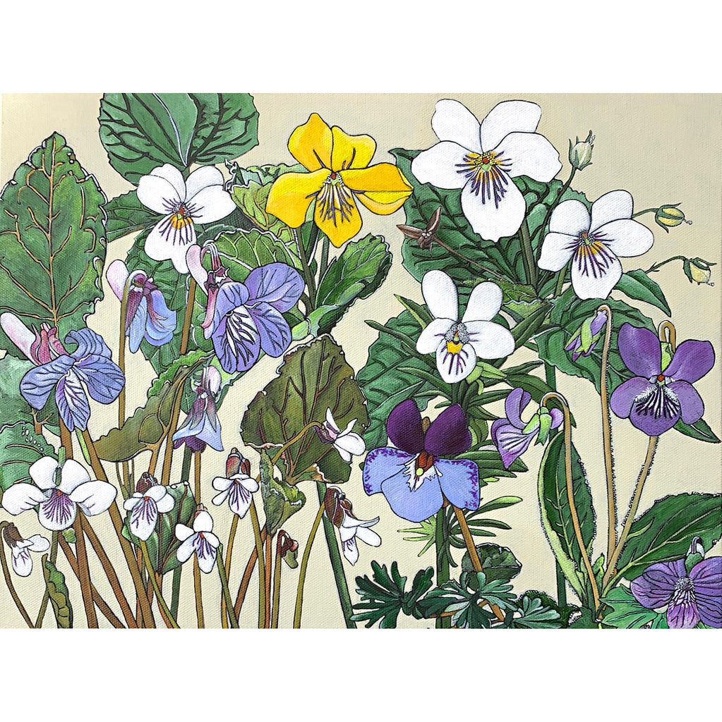 Group of white, yellow and purple violets with green leaves against an ivory background - painting by Frances Coates at Cottage Curator, Sperryville VA Art Gallery