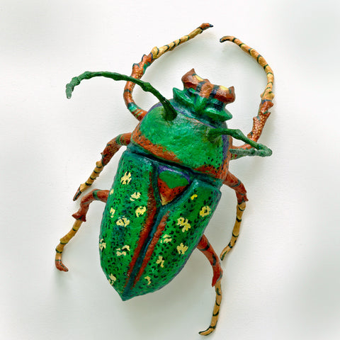 Woodland Beetle