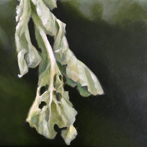 Detail of radish leaves against a dark green tablecloth from painting by Davette Leonard at Cottage Curator - Sperryville VA Art Gallery