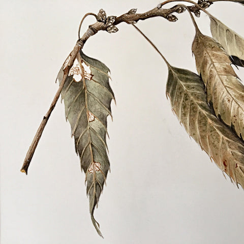 Detail of a watercolor painting of a dried branch with leaves by Vicki Malone at Cottage Curator art gallery