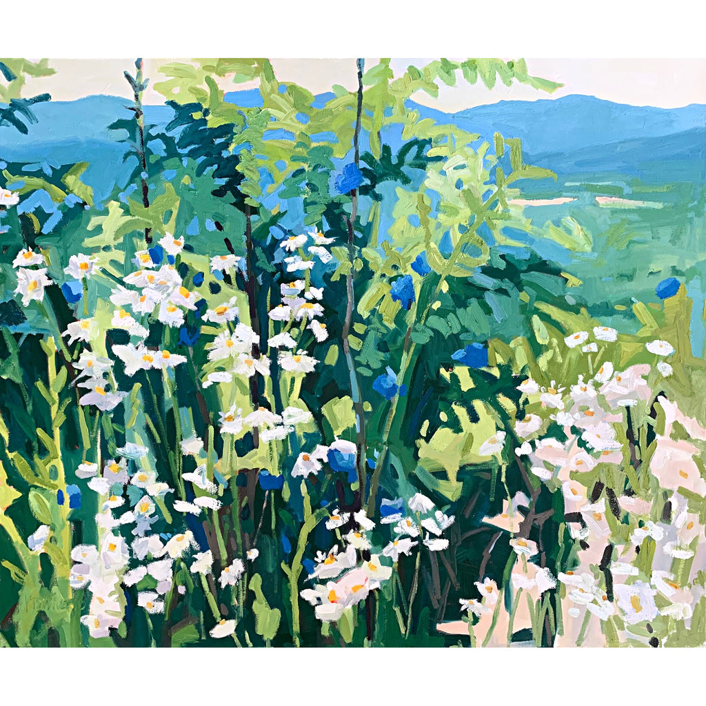 Oil painting of white wildflowers with yellow centers against greenery and shrubs with a view of blue mountains in the distance by Krista Townsend at Cottage Curator - Sperryville VA Art Gallery