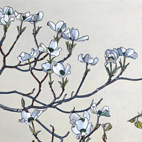 Detail of Painting of redbud and dogwood branch against white background by Frances Coates at Cottage Curator - Sperryville VA Art Gallery