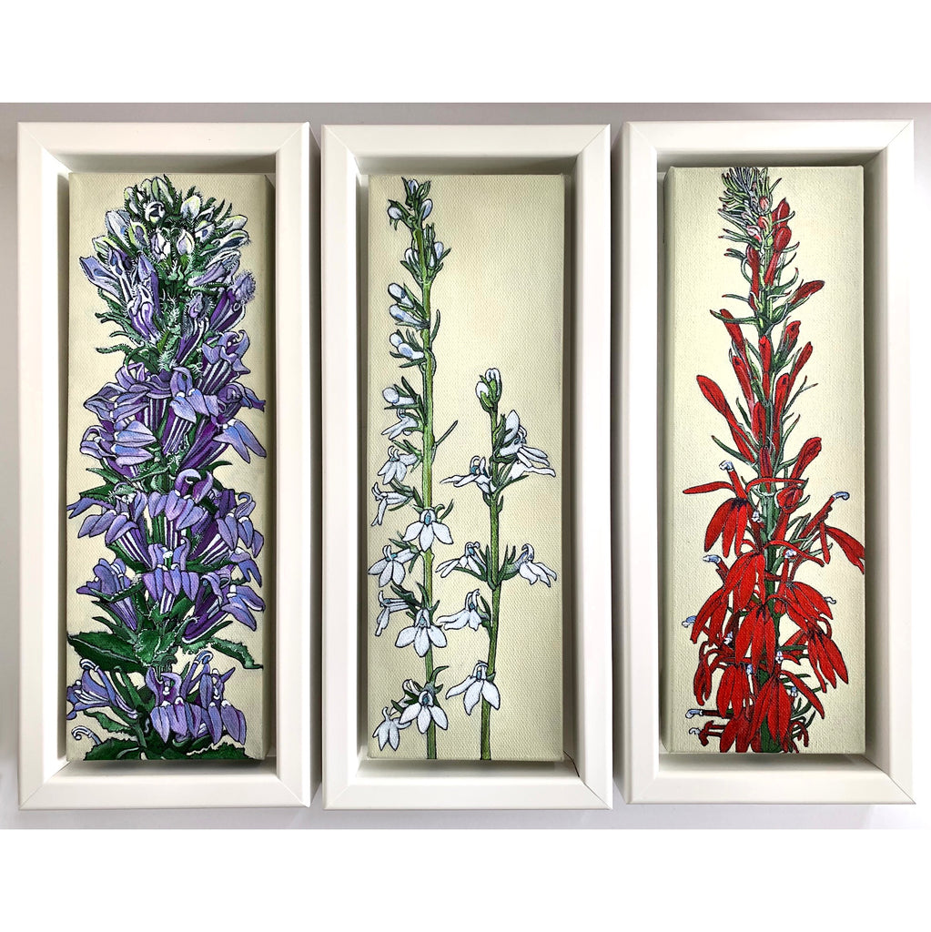 Triptych with paintings of Great Blue Lobelia, Pale-Spike Lobelia & Cardinal Flower by Frances Coates at Cottage Curator - Sperryville VA Art Gallery